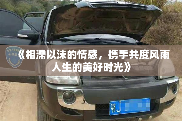 《相濡以沫的情感，携手共度风雨人生的美好时光》
