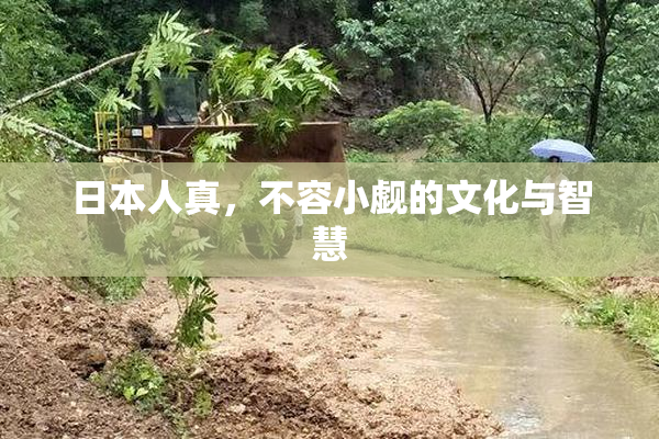 日本人真，不容小觑的文化与智慧