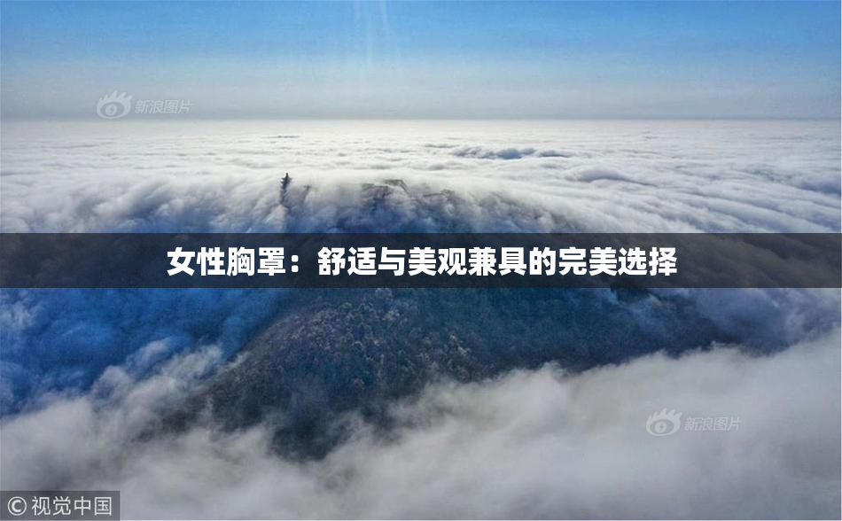 女性胸罩：舒适与美观兼具的完美选择