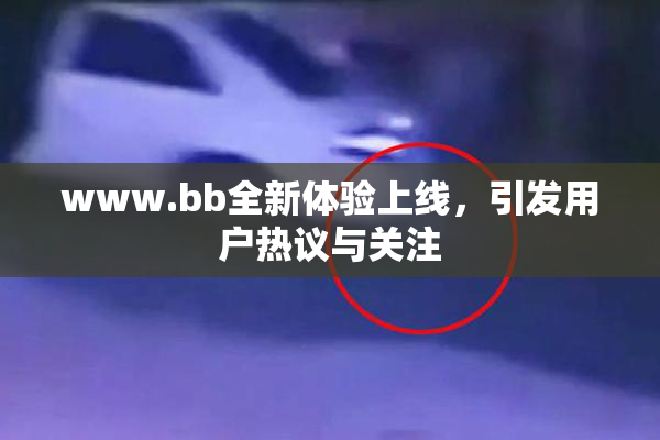 www.bb全新体验上线，引发用户热议与关注