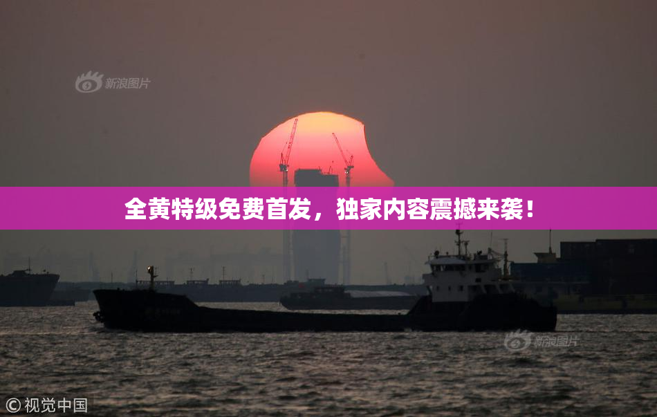全黄特级免费首发，独家内容震撼来袭！