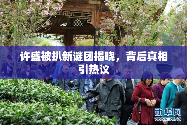 许盛被扒新谜团揭晓，背后真相引热议