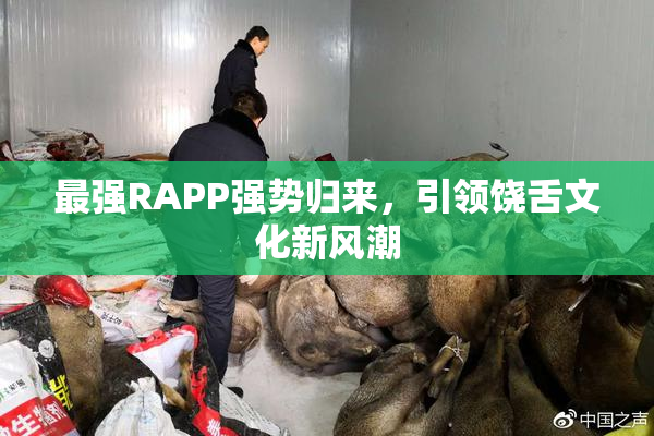 最强RAPP强势归来，引领饶舌文化新风潮