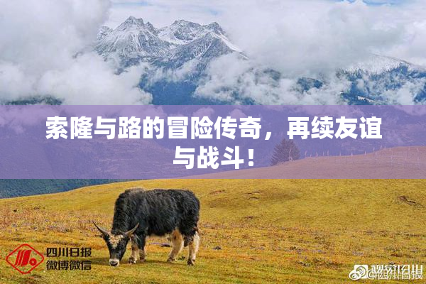 索隆与路的冒险传奇，再续友谊与战斗！