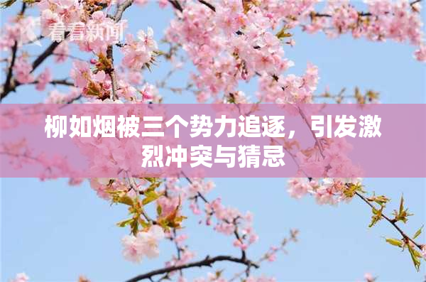 柳如烟被三个势力追逐，引发激烈冲突与猜忌