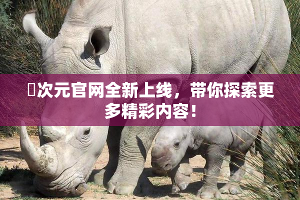 囧次元官网全新上线，带你探索更多精彩内容！
