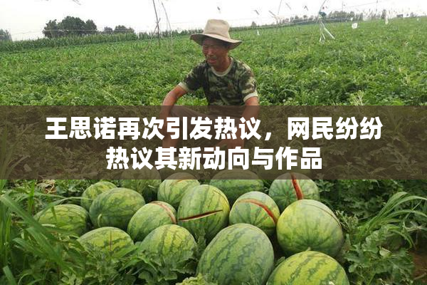 王思诺再次引发热议，网民纷纷热议其新动向与作品