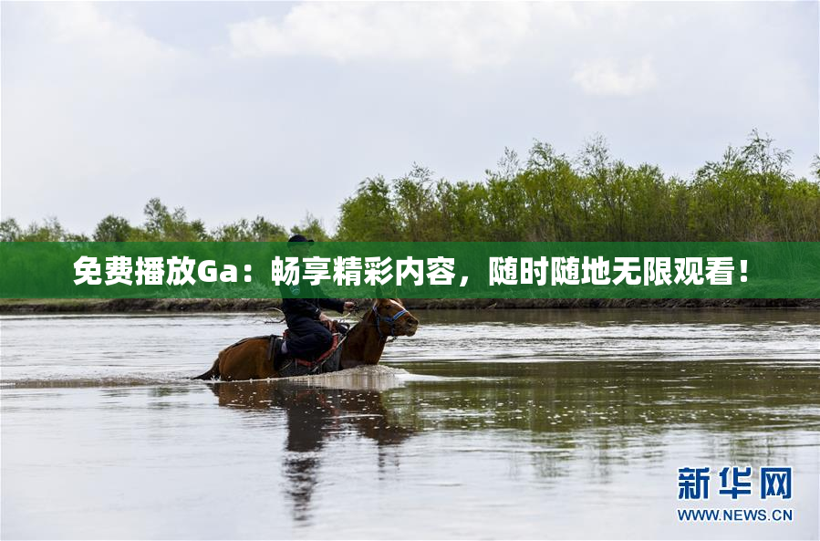 免费播放Ga：畅享精彩内容，随时随地无限观看！