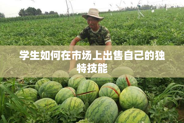 学生如何在市场上出售自己的独特技能