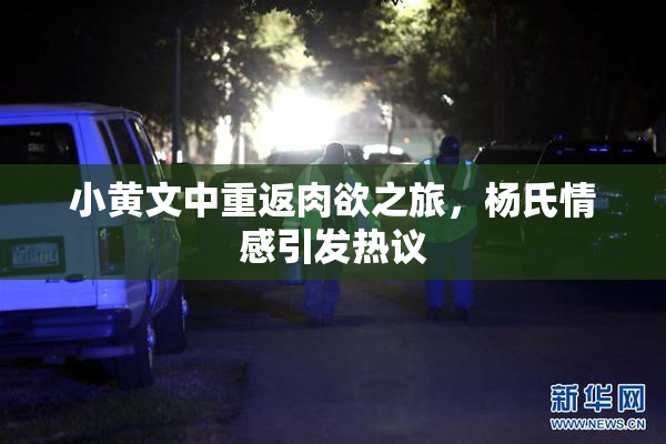 小黄文中重返肉欲之旅，杨氏情感引发热议