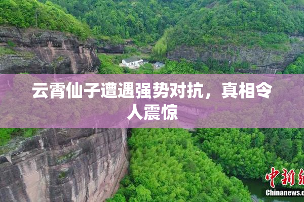 云霄仙子遭遇强势对抗，真相令人震惊