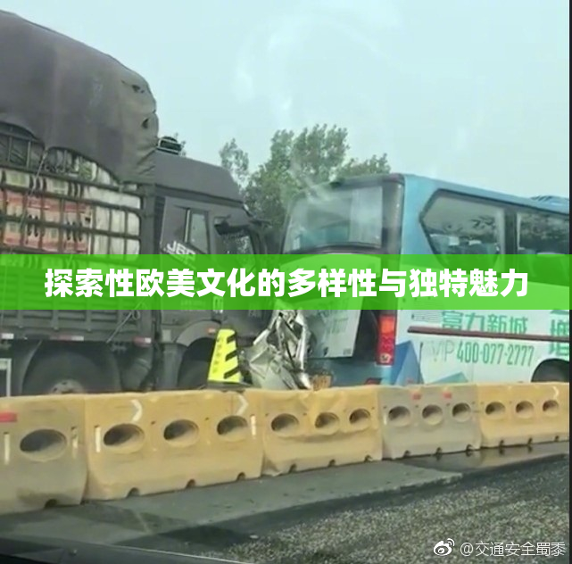 探索性欧美文化的多样性与独特魅力