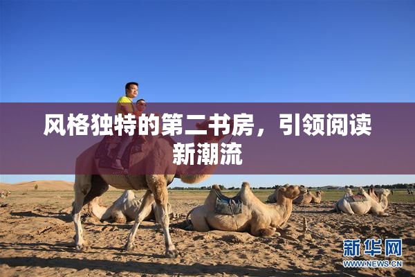 风格独特的第二书房，引领阅读新潮流