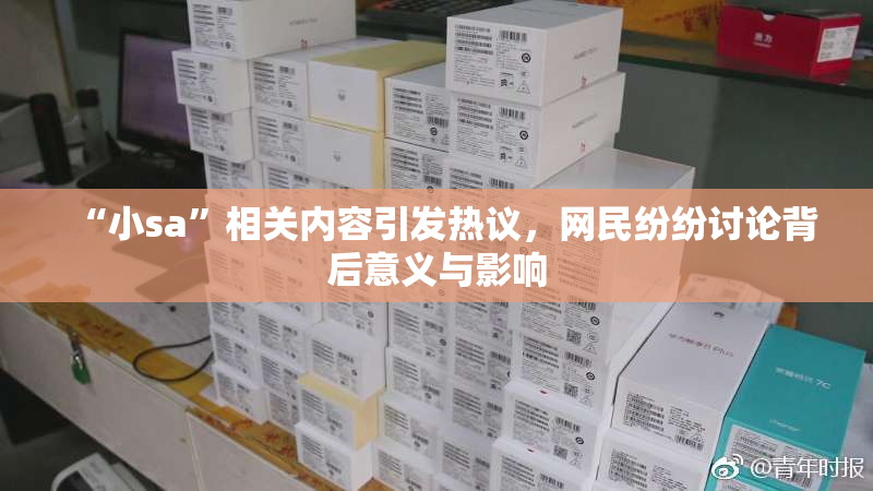 “小sa”相关内容引发热议，网民纷纷讨论背后意义与影响