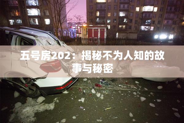 五号房202：揭秘不为人知的故事与秘密