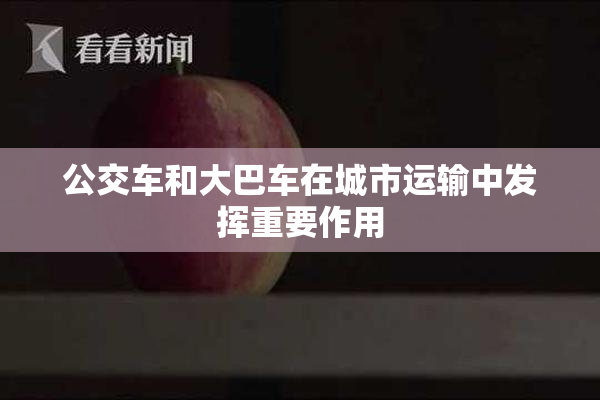 公交车和大巴车在城市运输中发挥重要作用