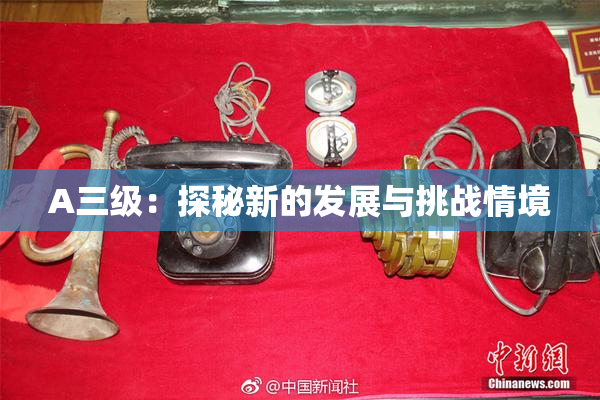A三级：探秘新的发展与挑战情境