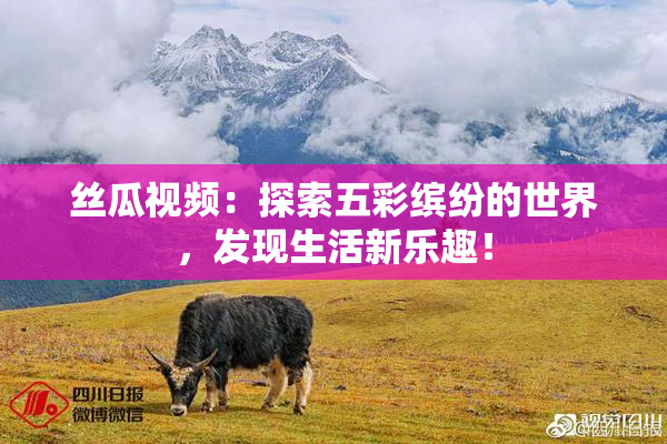 丝瓜视频：探索五彩缤纷的世界，发现生活新乐趣！