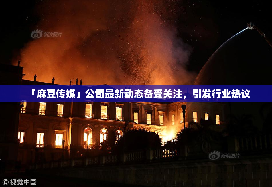 「麻豆传媒」公司最新动态备受关注，引发行业热议