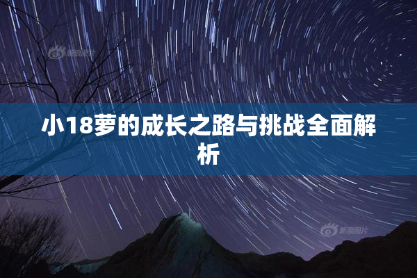 小18萝的成长之路与挑战全面解析