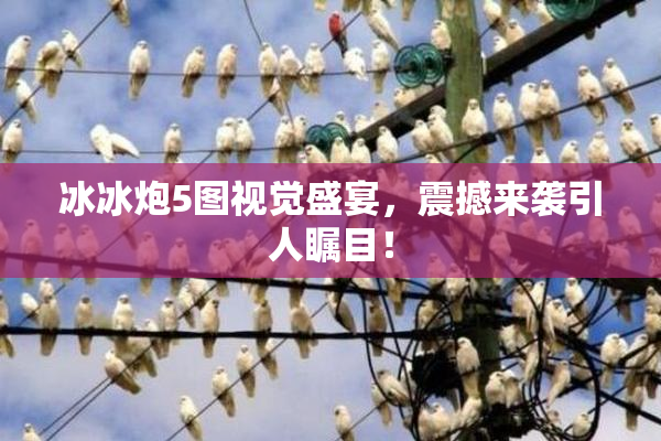冰冰炮5图视觉盛宴，震撼来袭引人瞩目！