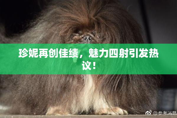 珍妮再创佳绩，魅力四射引发热议！