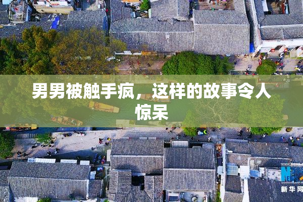 男男被触手疯，这样的故事令人惊呆
