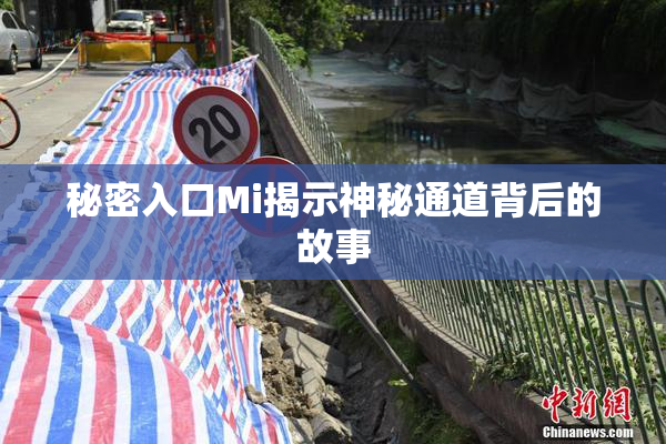 秘密入口Mi揭示神秘通道背后的故事