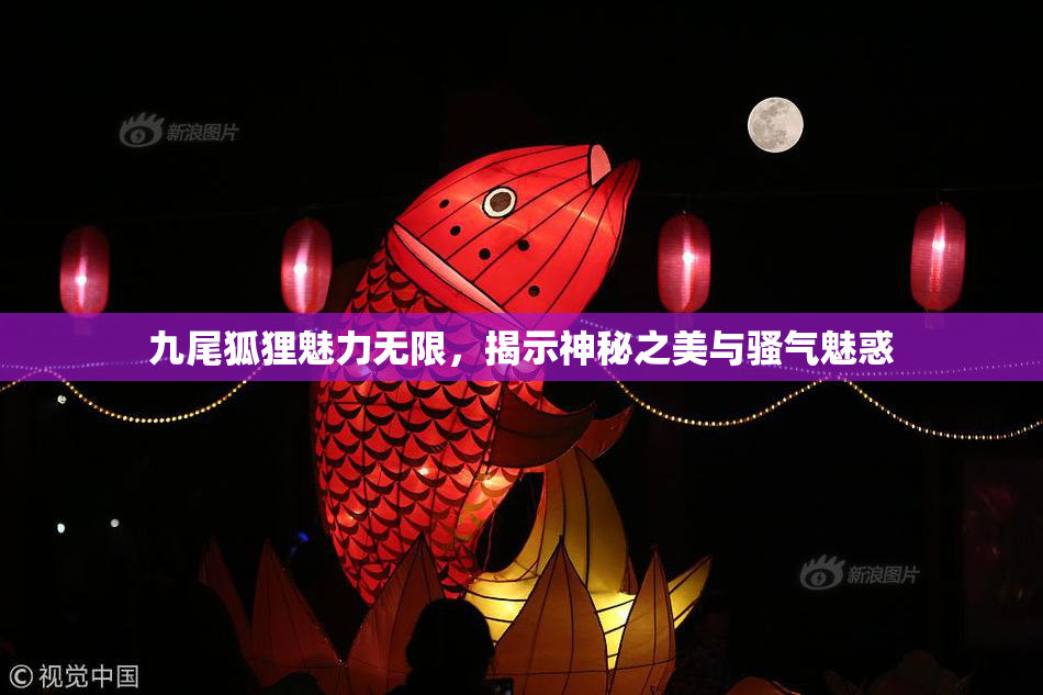 九尾狐狸魅力无限，揭示神秘之美与骚气魅惑
