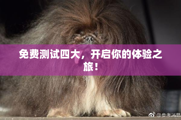 免费测试四大，开启你的体验之旅！