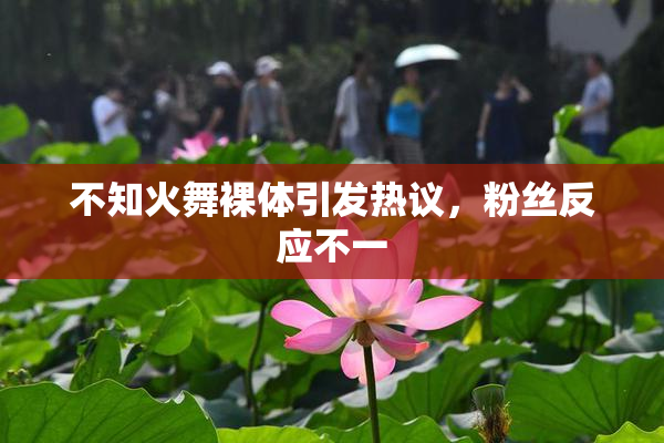 不知火舞裸体引发热议，粉丝反应不一