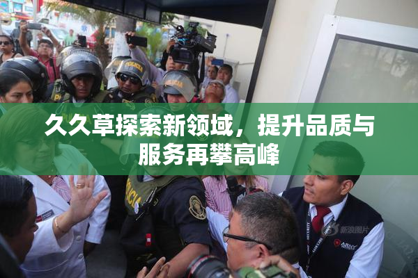 久久草探索新领域，提升品质与服务再攀高峰