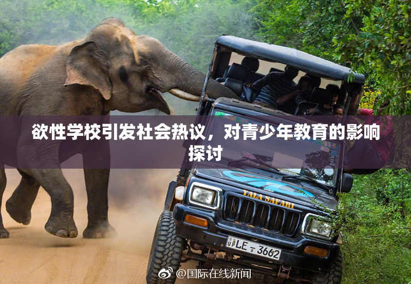 欲性学校引发社会热议，对青少年教育的影响探讨
