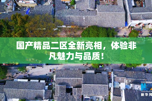 国产精品二区全新亮相，体验非凡魅力与品质！