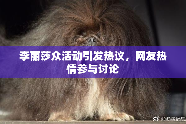 李丽莎众活动引发热议，网友热情参与讨论