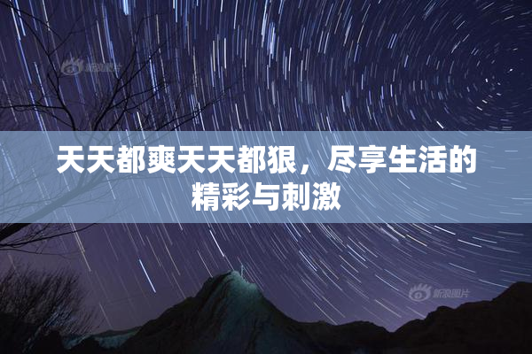 天天都爽天天都狠，尽享生活的精彩与刺激