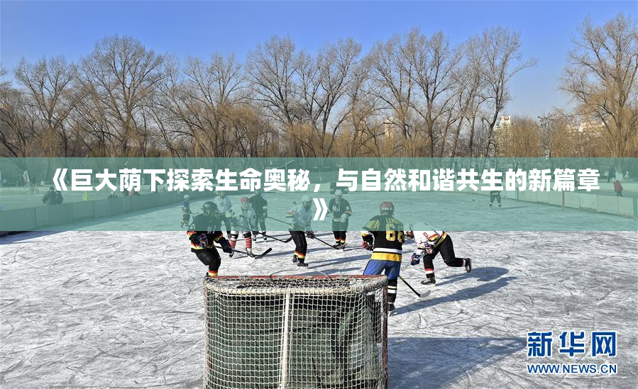 《巨大荫下探索生命奥秘，与自然和谐共生的新篇章》