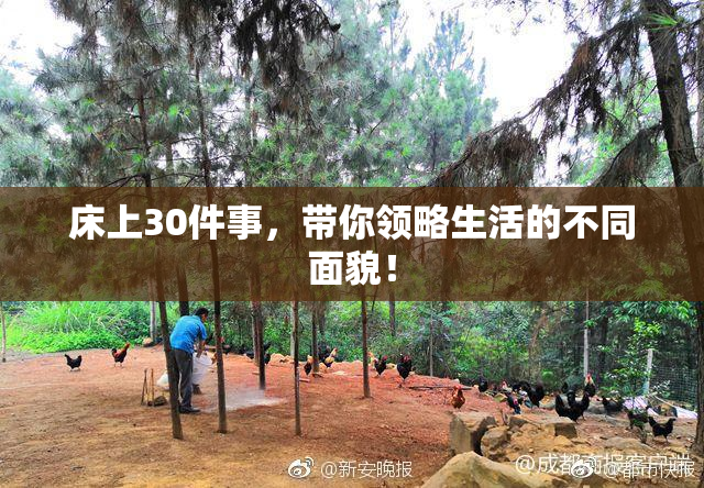 床上30件事，带你领略生活的不同面貌！
