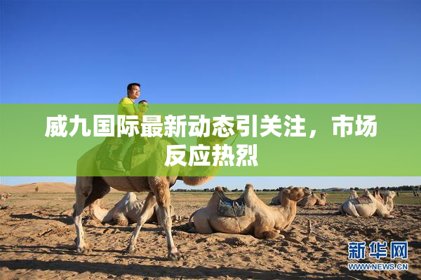 威九国际最新动态引关注，市场反应热烈