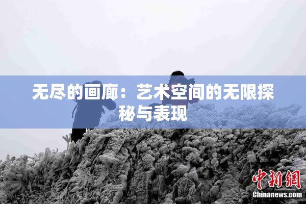 无尽的画廊：艺术空间的无限探秘与表现
