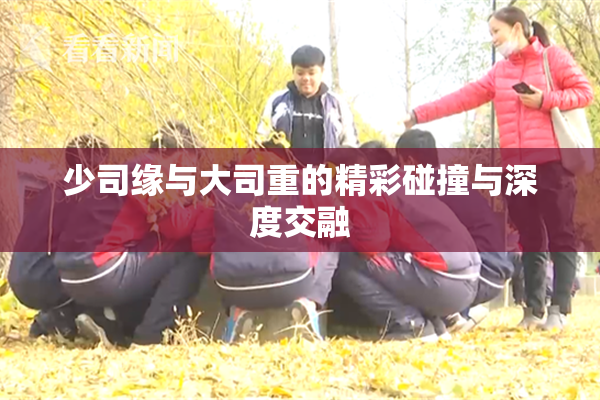 少司缘与大司重的精彩碰撞与深度交融