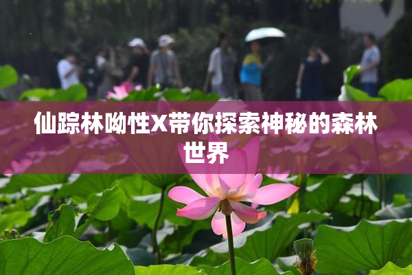 仙踪林呦性X带你探索神秘的森林世界