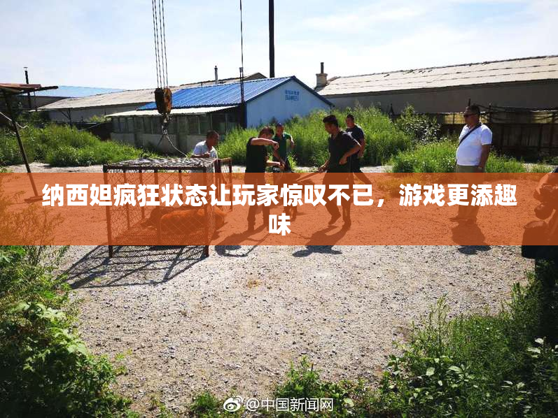 纳西妲疯狂状态让玩家惊叹不已，游戏更添趣味