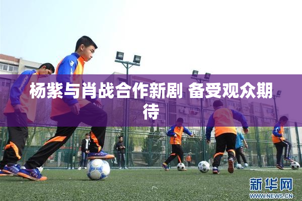杨紫与肖战合作新剧 备受观众期待