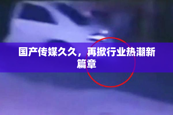 国产传媒久久，再掀行业热潮新篇章