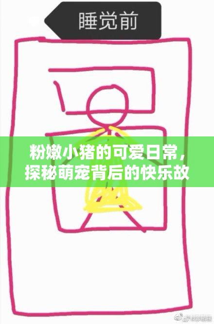 粉嫩小猪的可爱日常，探秘萌宠背后的快乐故事