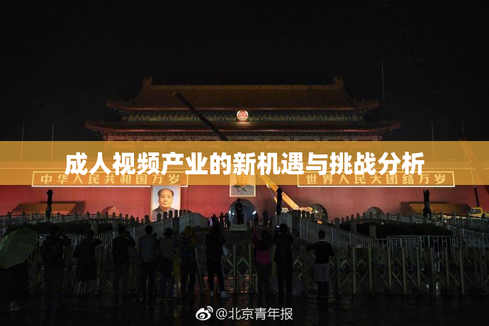 成人视频产业的新机遇与挑战分析