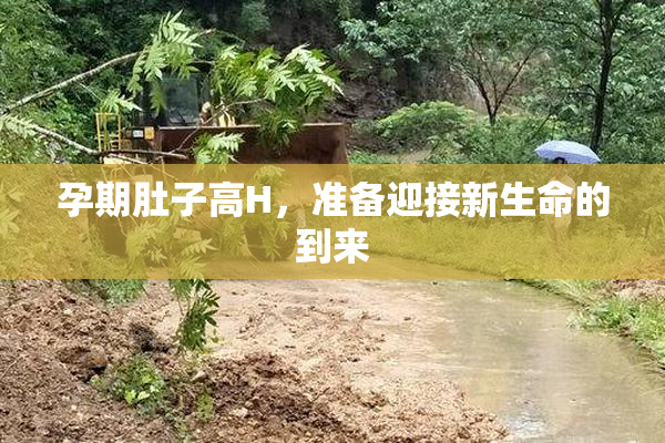 孕期肚子高H，准备迎接新生命的到来