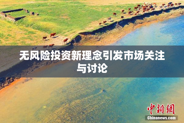无风险投资新理念引发市场关注与讨论