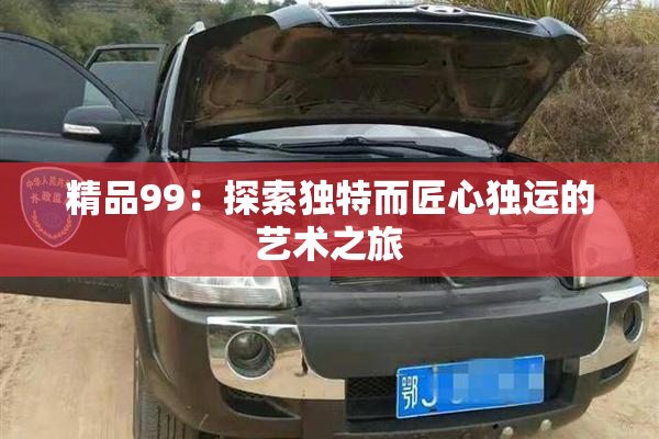 精品99：探索独特而匠心独运的艺术之旅